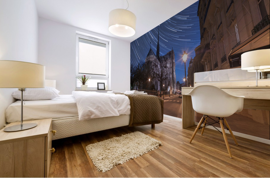 Notre-Dame de Paris Mural print