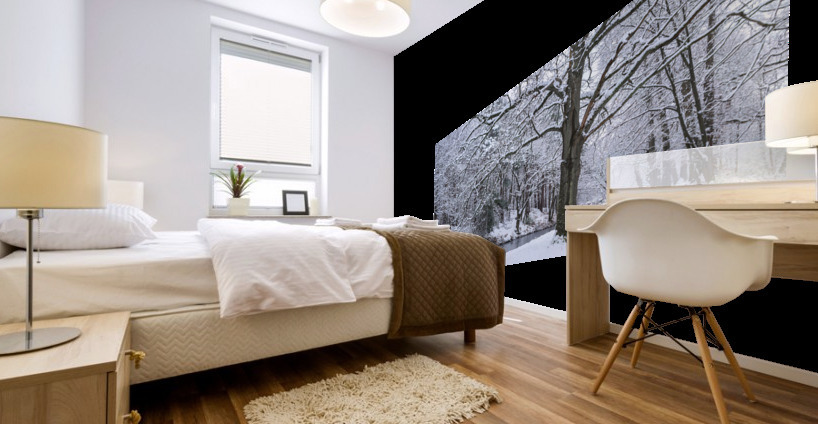 Snowy Forest Canal Mural print