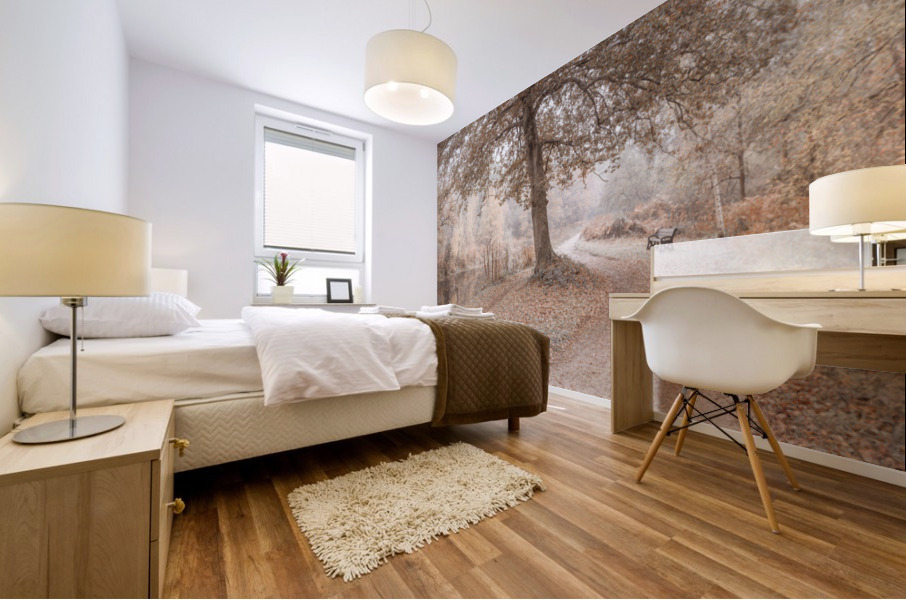 Misty Canal Mural print