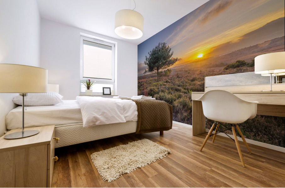 Lone tree sunset Mural print
