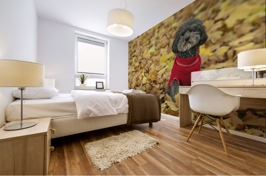 Cute Poddle Mural print