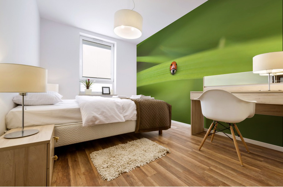 Ladybug  Mural print