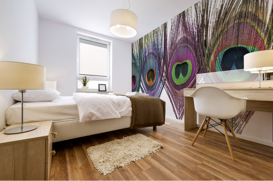 Peacock Feathers Mural print
