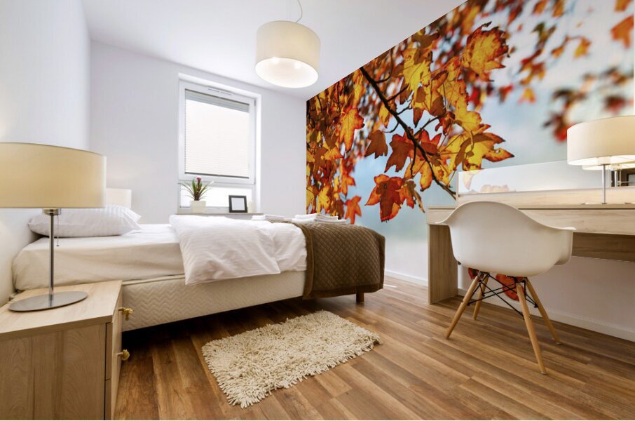 Autumn Leaves Mural print