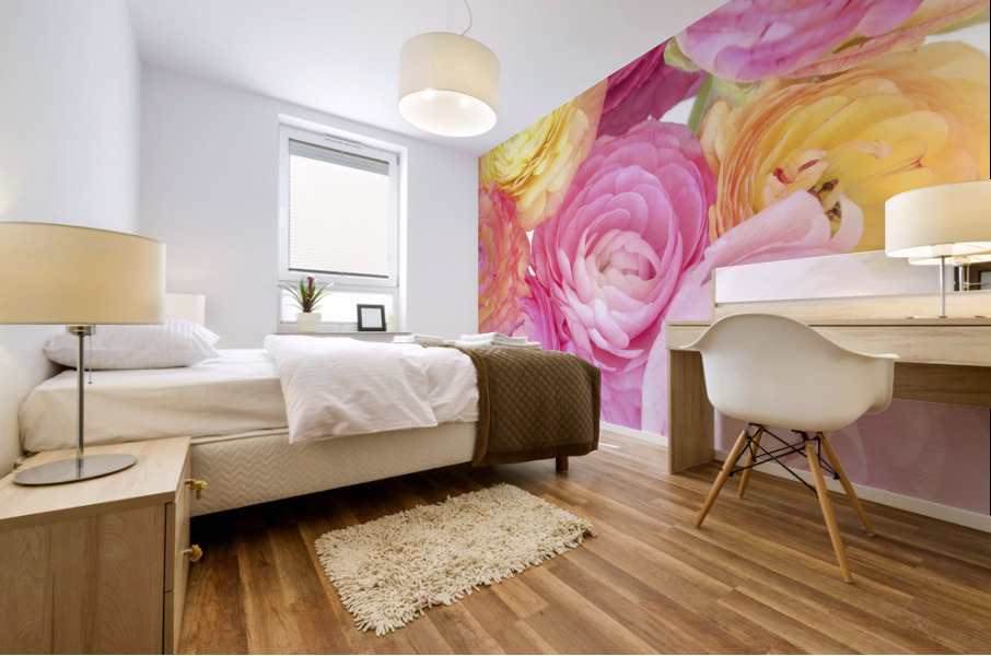 Pastel Ranunculus Mural print