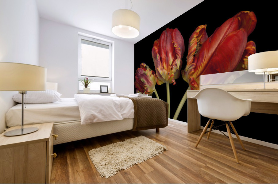 Rococo Tulips Mural print