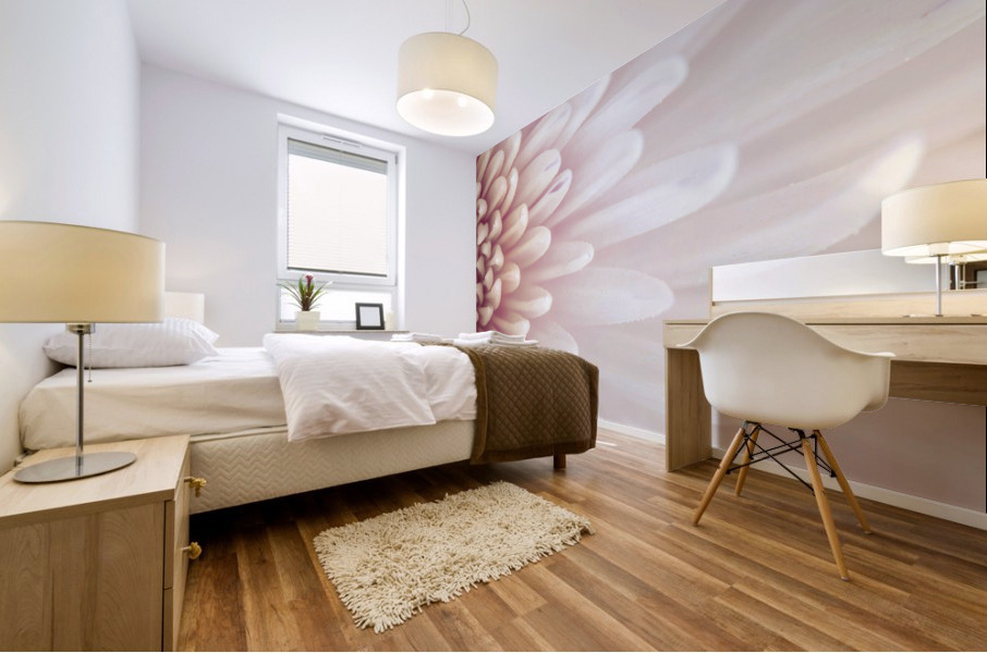 Chrysanthemum Petals Mural print