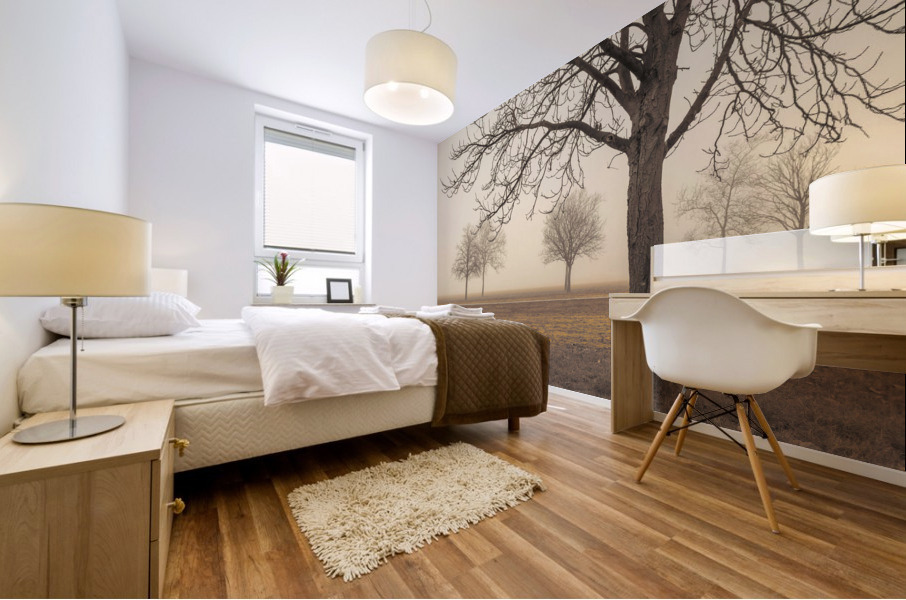 Misty Countryside Mural print