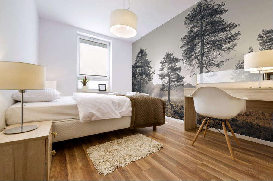 Sun through trees Mural print