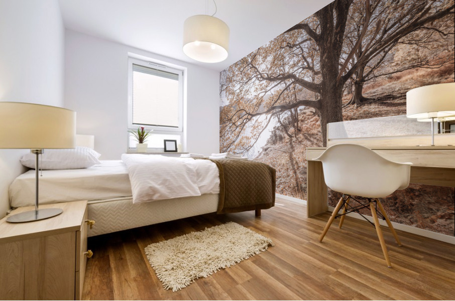 Derwentwater Lake Mural print