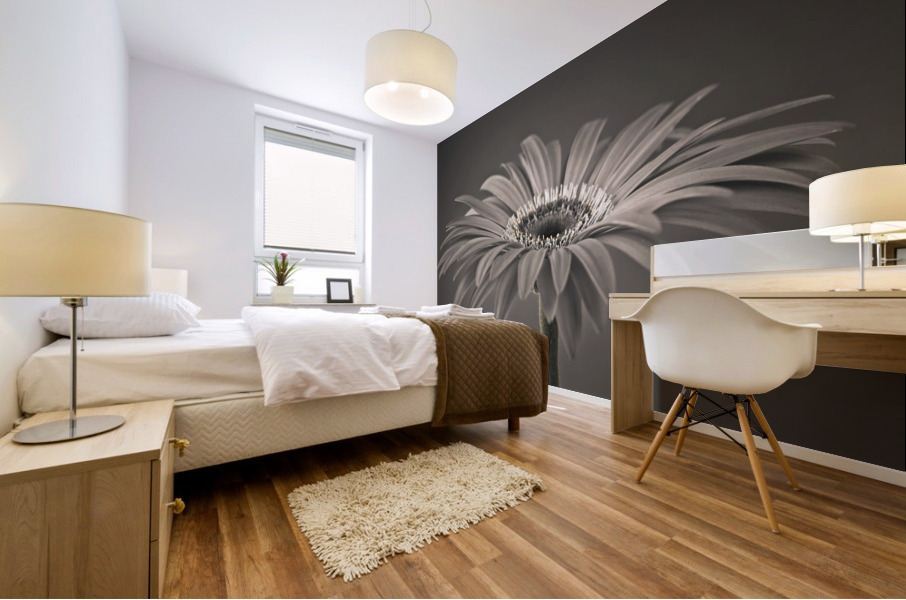 Gerbera flower Mural print