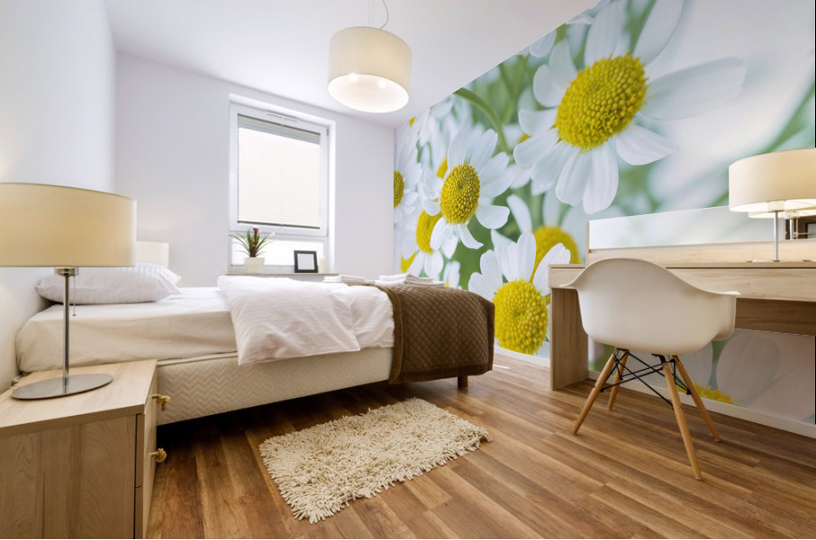 White Daisies Mural print