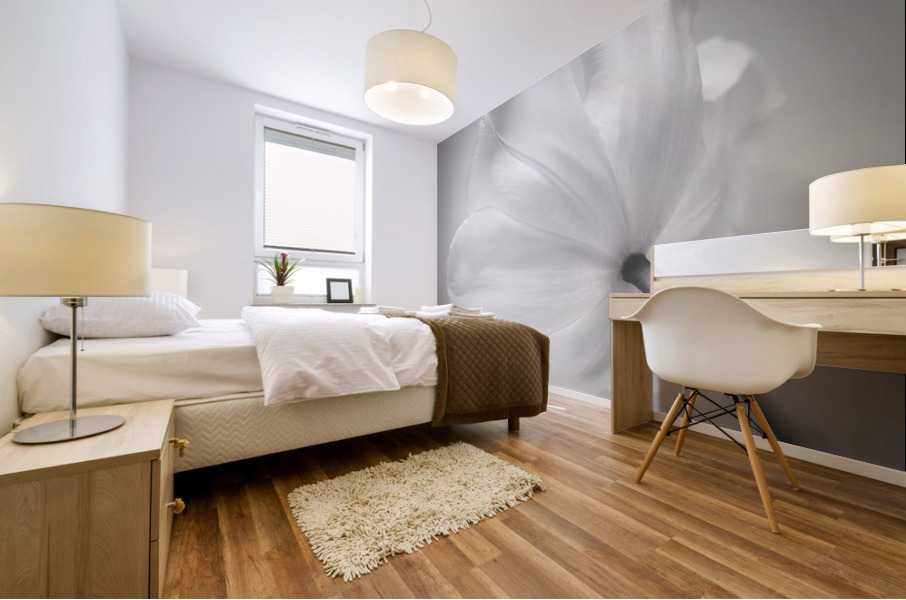 White Tulip Mural print