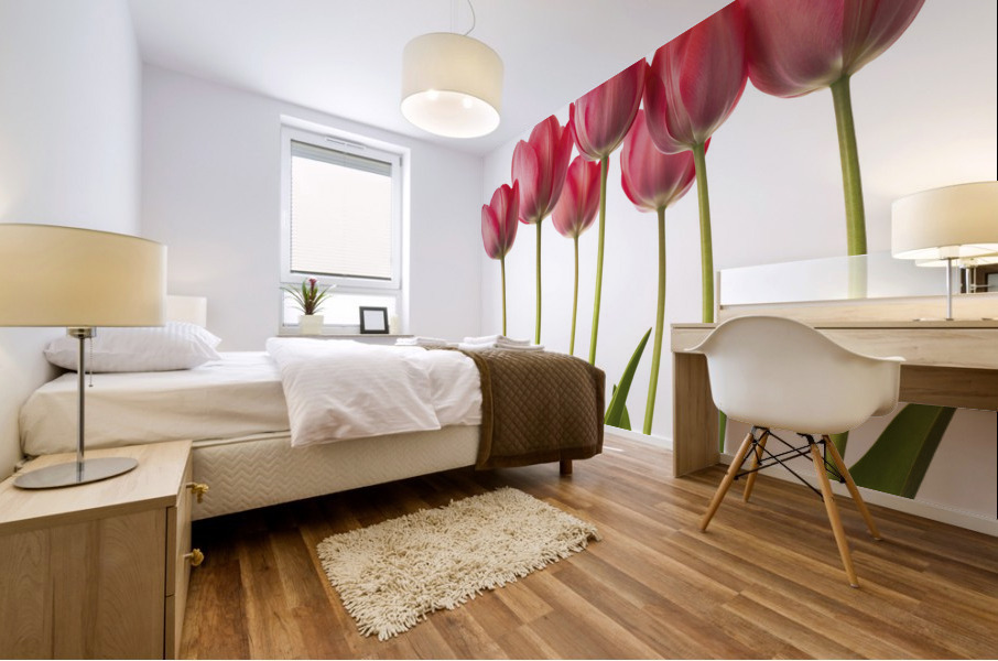Growing Tulips Mural print