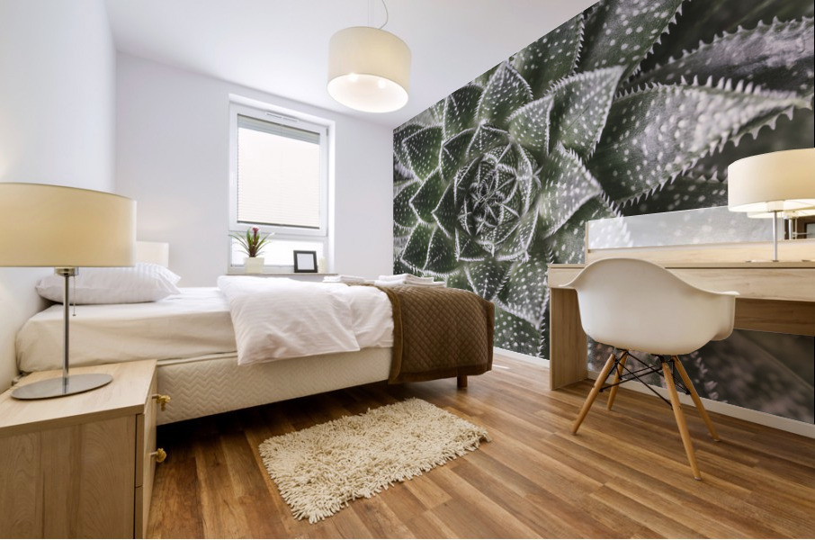 Aloe Aristata Mural print