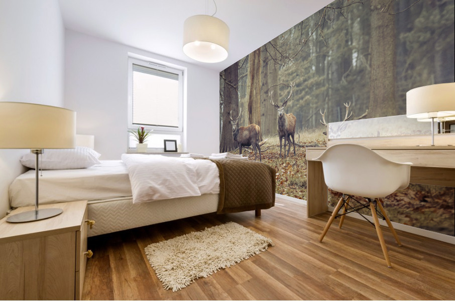Stags in the forest Mural print