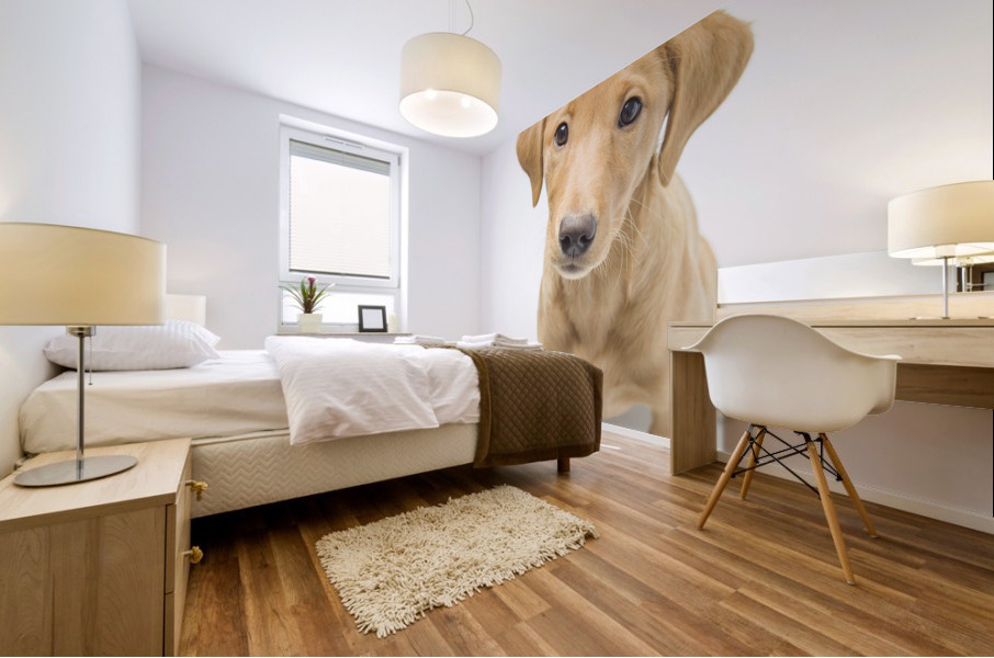 Cute Puppy Mural print