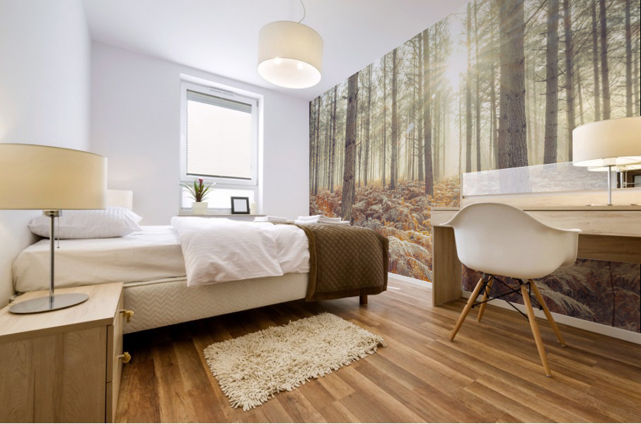 Natures Illumination Mural print