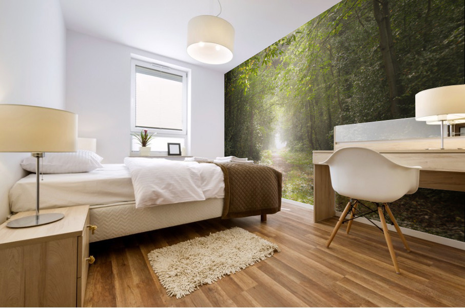 Pathway through misty forest Mural print