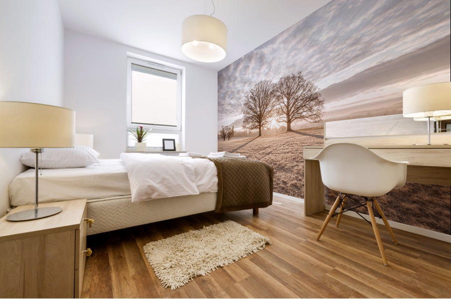 Morning Meadow Mural print