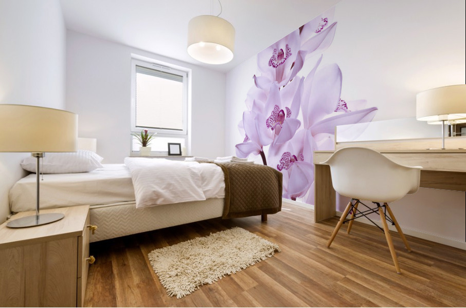Orchids Mural print