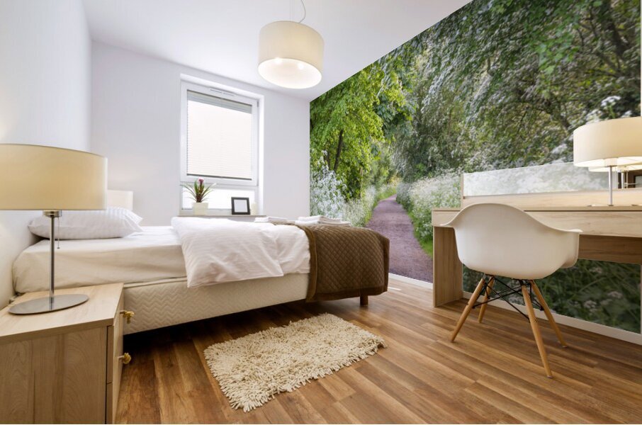 Woodland spring path Mural print