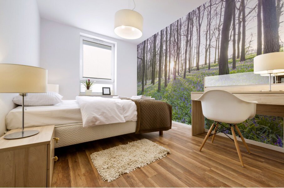 Awakening Serenity Mural print