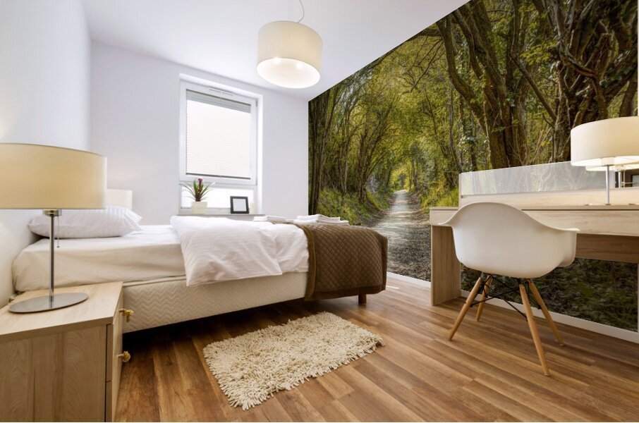 Journey through Forest Mural print