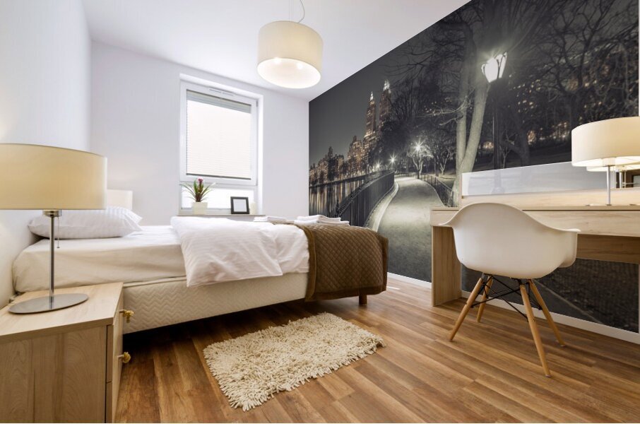 Central Park at Night Mural print