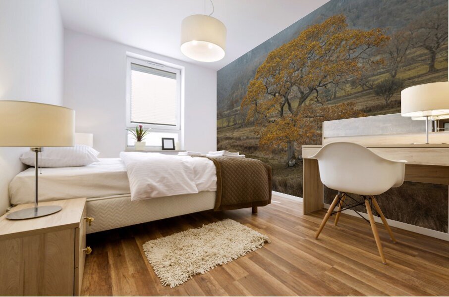 Autumns Splendor Mural print