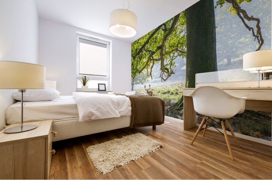 Stag under an old oak tree Mural print