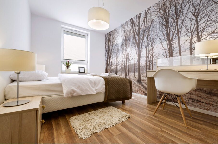 Sun shining through trees Mural print