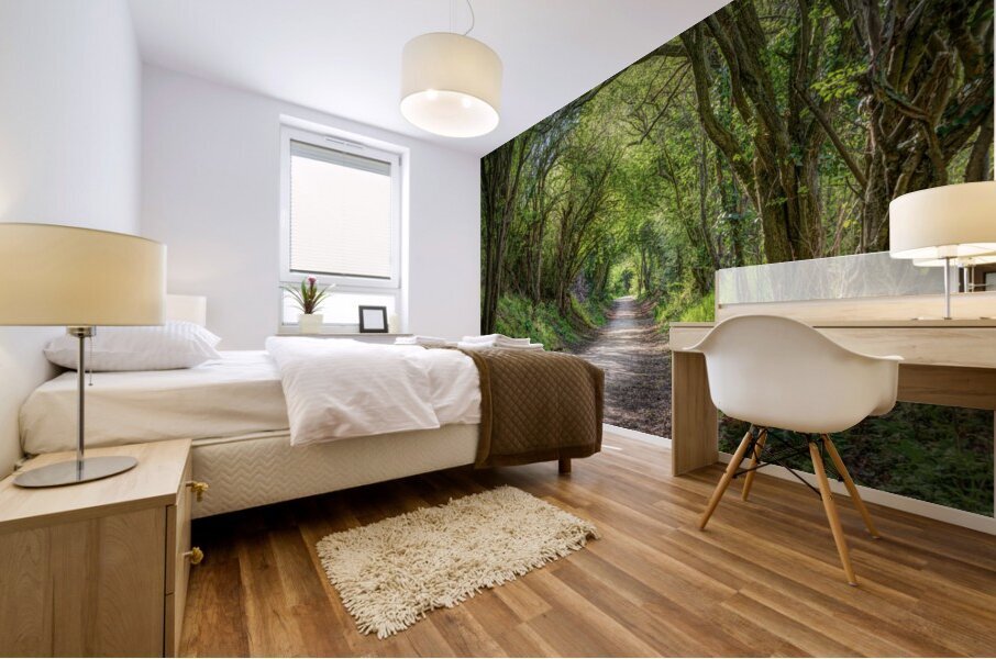 Journey through Forest Mural print