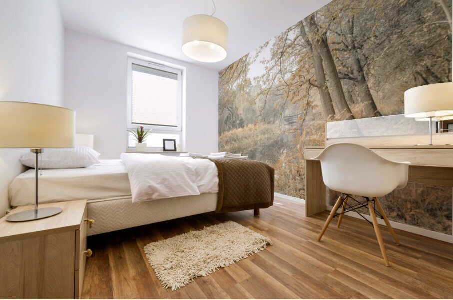 Misty Canal Mural print