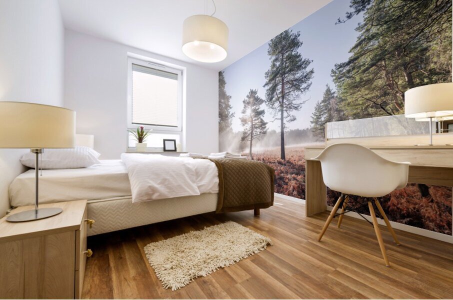Enchanted Misty Forest Mural print