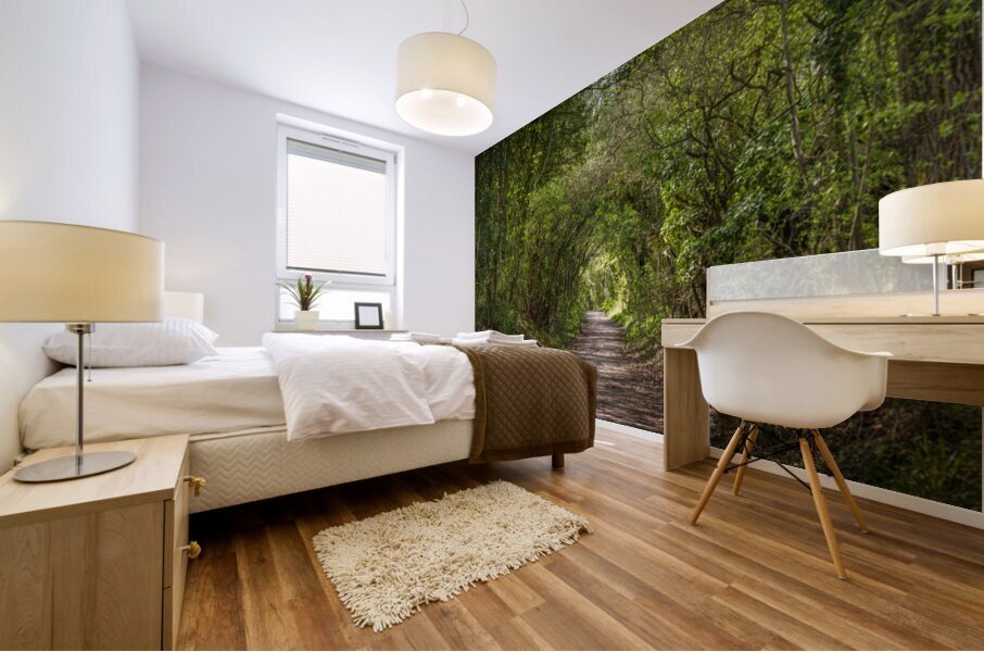 Journey through Forest Mural print
