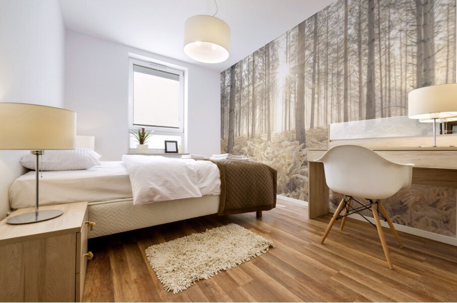 Sunrays Piercing Forest Mural print