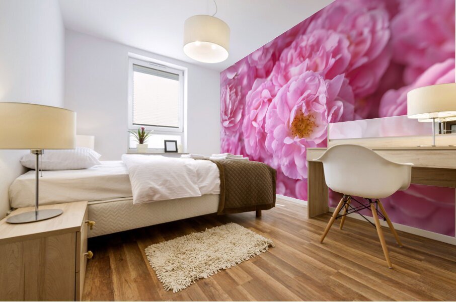 Pink Roses Mural print