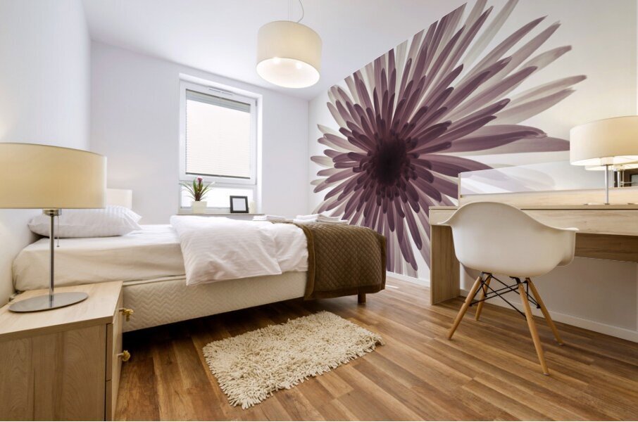Glowing Chrysanthemum Mural print