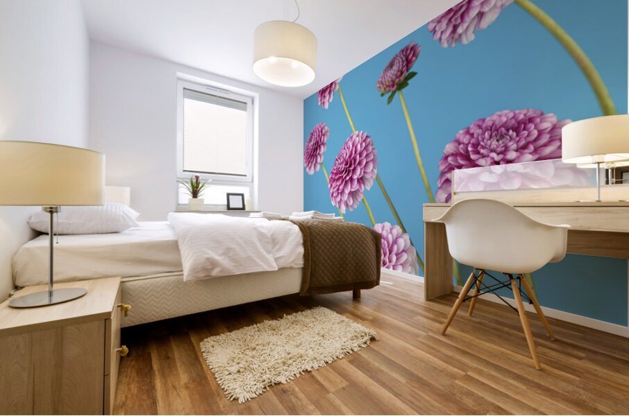 Dahlia Flowers Mural print