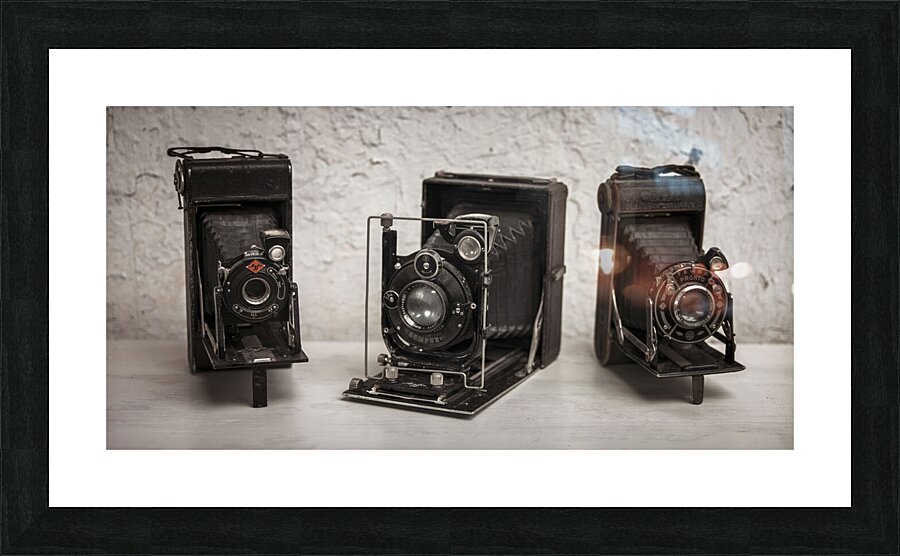 Old cameras Picture Frame print
