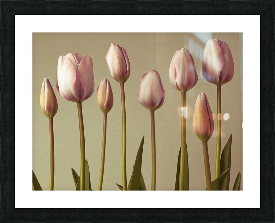 Emerging Elegance Picture Frame print