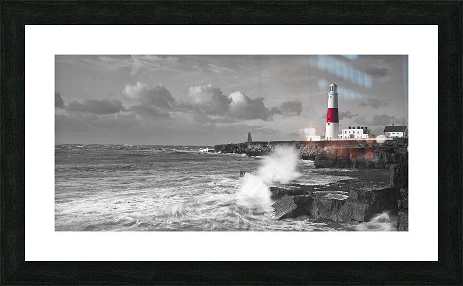Coastal Sentinel Picture Frame print