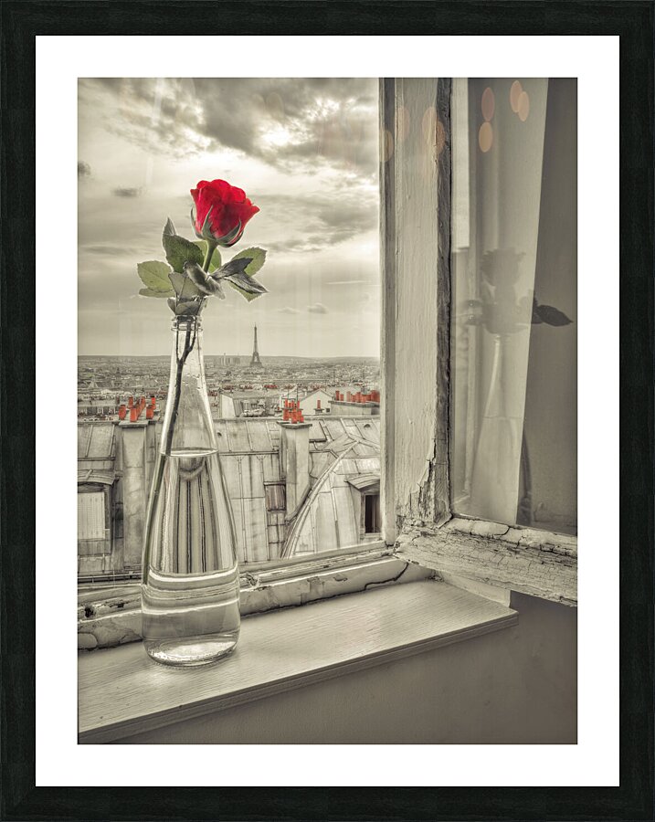 Flower vase on window Picture Frame print
