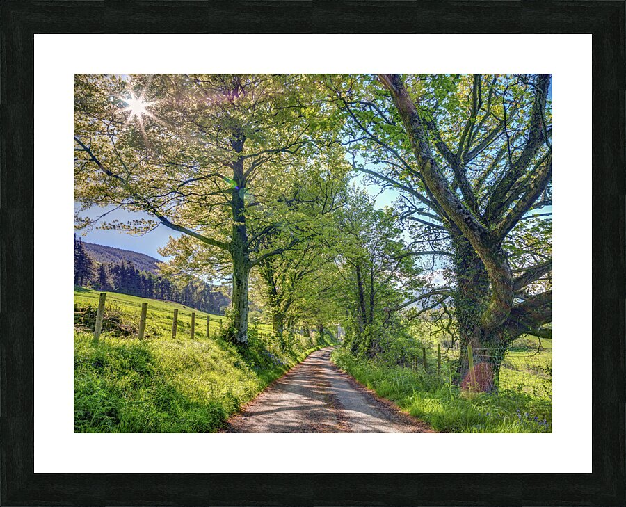 Countryside Road Picture Frame print