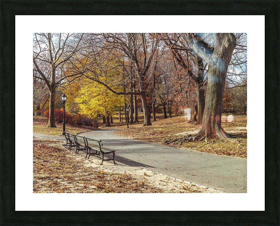 Central Park  Picture Frame print