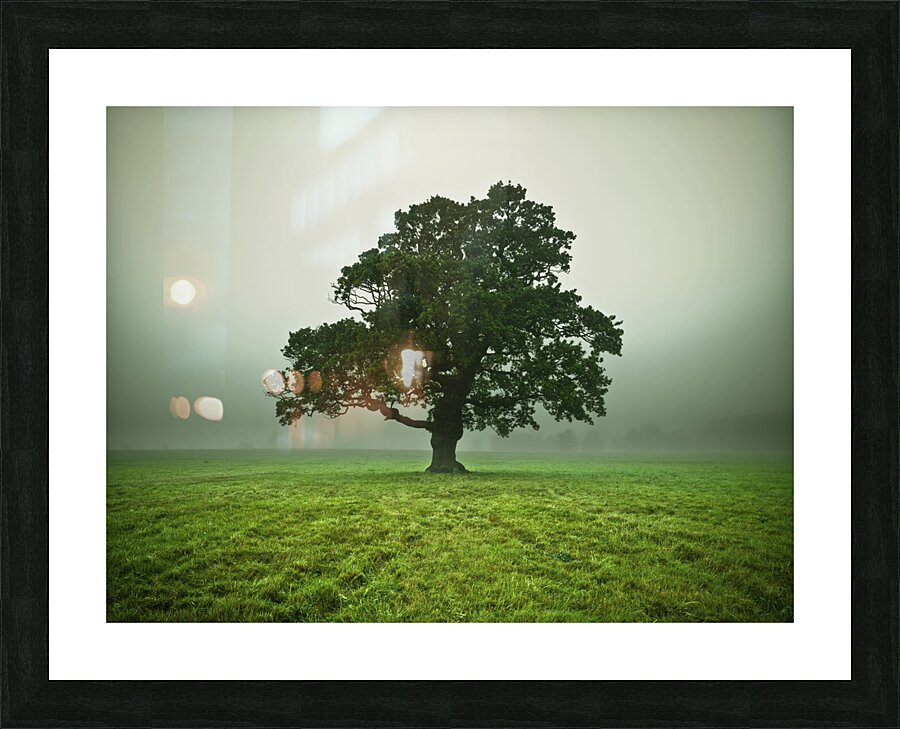 Ethereal Presence Picture Frame print