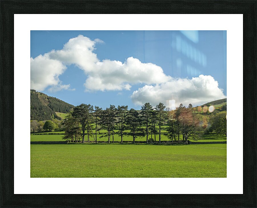 Countryside meadow Picture Frame print
