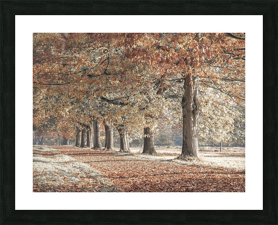 Fall Splendor Picture Frame print