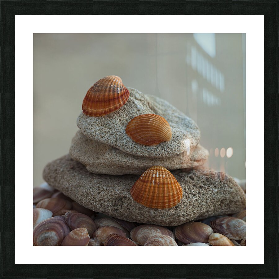 Sea shells on pebbles Picture Frame print